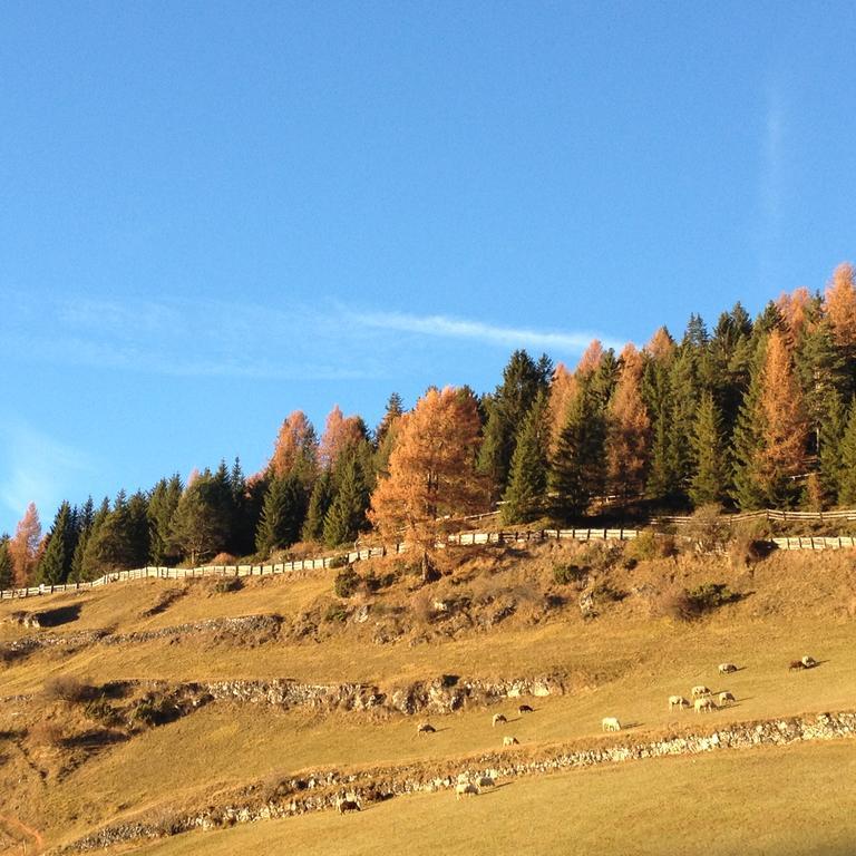 Maso Larciunei Alojamento de Turismo Rural Selva di Val Gardena