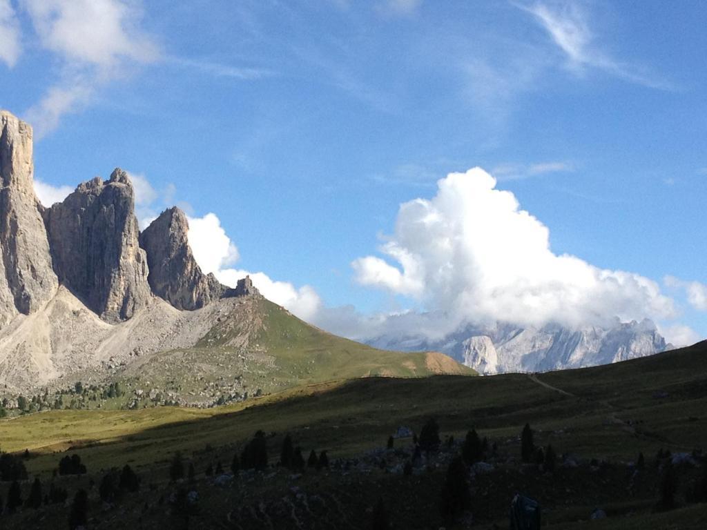 Farm stay Maso Larciunei *