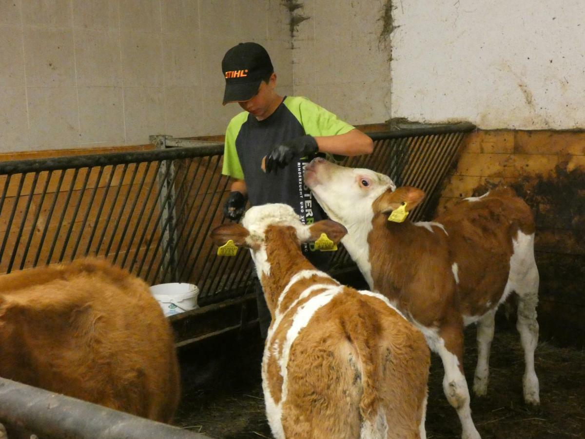 Maso Larciunei Alojamento de Turismo Rural *
